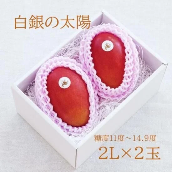 白銀之太陽 芒果 2L 2顆 — 商品照片 10