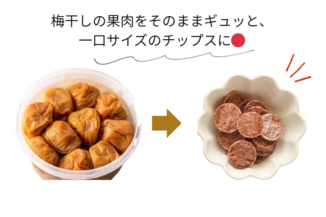 うめぼちっぷす 9g — 商品写真 5