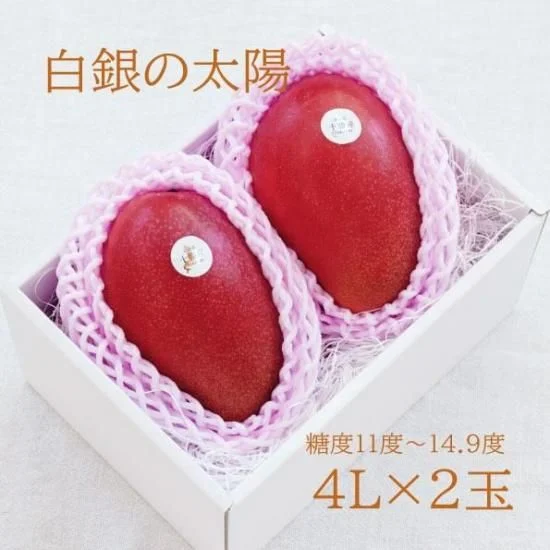 白銀の太陽 4L 2玉 — 商品写真 13
