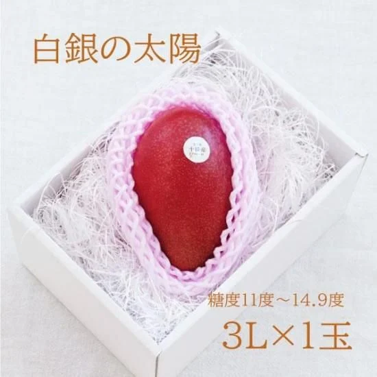 Hakugin no Taiyo Mango — 3L, 1 fruit — Product photo 10