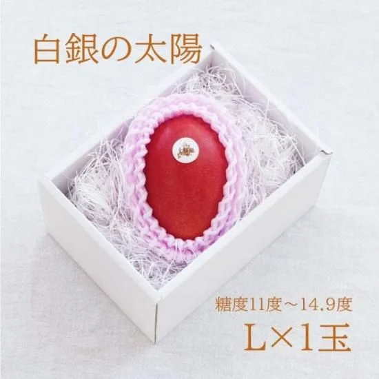 白銀の太陽 L 1玉 — 商品写真 11