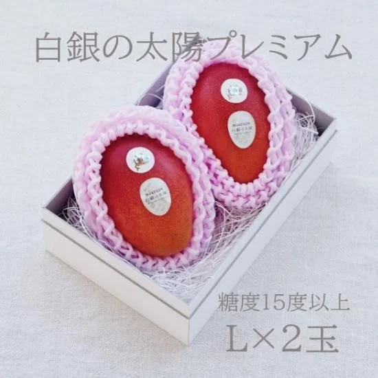 Hakugin no Taiyo Premium Mango — L, 2 fruits — Product photo 9