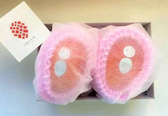 白銀の太陽 プレミアム 2L 2玉 — 商品写真 1