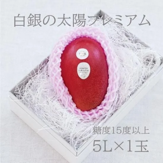 白銀の太陽 プレミアム 5L 1玉 — 商品写真 8
