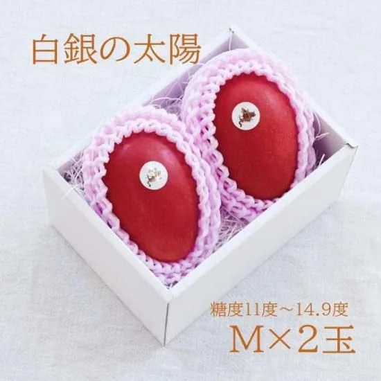 白銀之太陽 芒果 M 2顆 — 商品照片 11