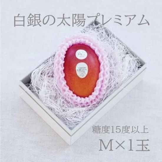 白銀之太陽 Premium 芒果 M 1顆 — 商品照片 11