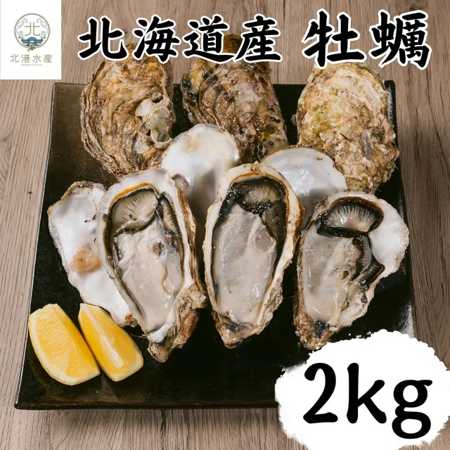 Hokkaido Shell-On Oysters for Cooking — Product photo 3