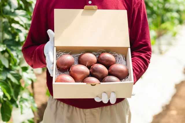 エコなパッション 1kg — 商品写真 3