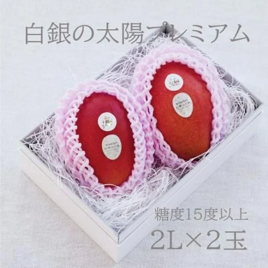 白銀の太陽 プレミアム 2L 2玉 — 商品写真 10