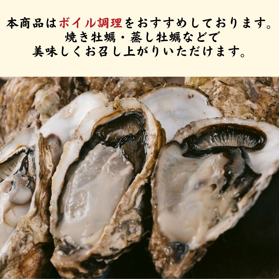 Hokkaido Shell-On Oysters for Cooking