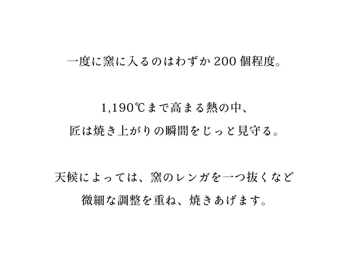 IWANO おひつマニア — 商品写真 7