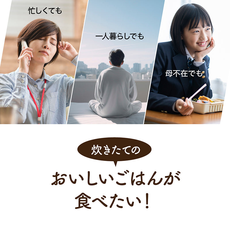 IWANO Ureshidaki Hybrid Rice Cooker — Product photo 11
