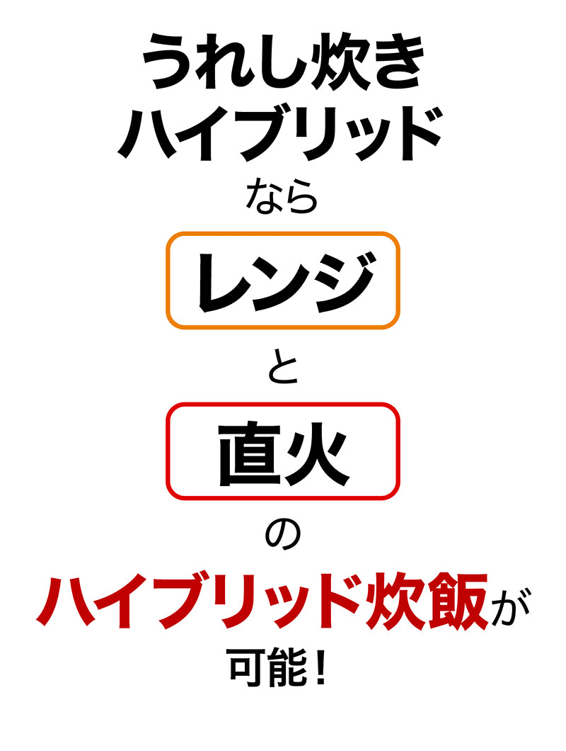 IWANO Ureshidaki Hybrid Rice Cooker — Product photo 14